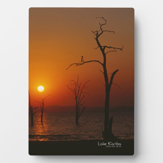 See Kariba Fotoplatte (Vorderseite)