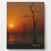 See Kariba Fotoplatte (Vorderseite)