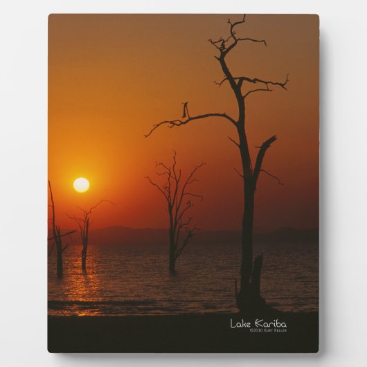 See Kariba Fotoplatte (Vorderseite)