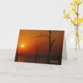 See Kariba Karte (Gelbe Blume)