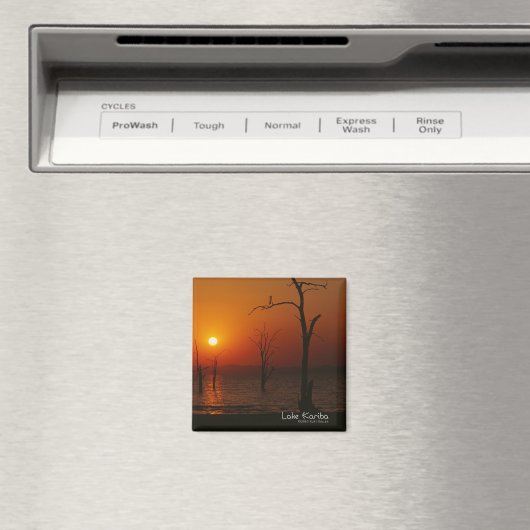 See Kariba Magnet (In Situ (Geschirrspüler))