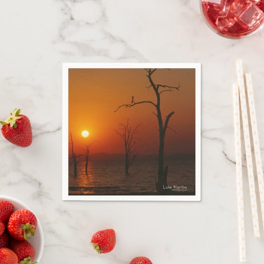 See Kariba Serviette (Beispiel)