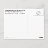 See Mead - Las Vegas Postkarte (Rückseite)