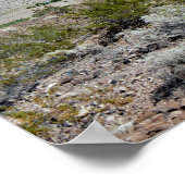 See Mead Nevada Poster (Ecke)