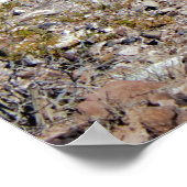 See Mead Nevada Poster (Ecke)