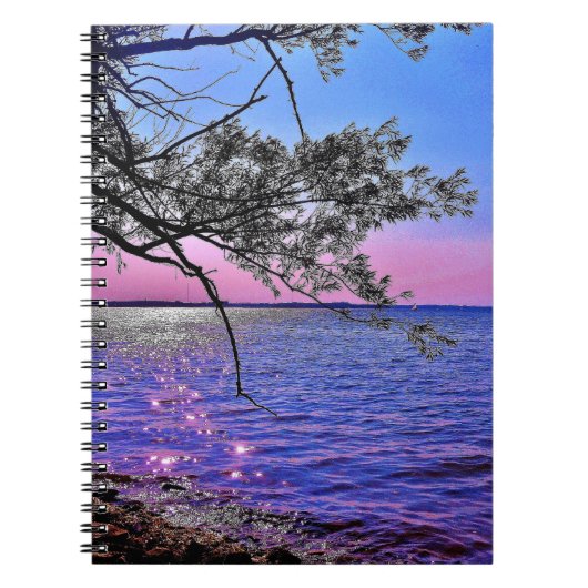 See Mendota View Notizblock (Vorderseite)