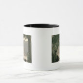 See Nemi, 1843 Tasse (Zentrum)