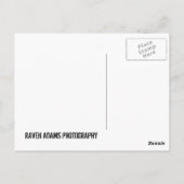 SEE OZARK POSTKARTE (Rückseite)