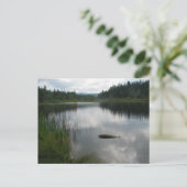 See Padden Stillness Postkarte (Stehend Vorderseite)