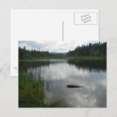 See Padden Stillness Postkarte (Vorne/Hinten)