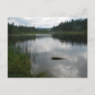 See Padden Stillness Postkarte