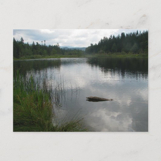 See Padden Stillness Postkarte (Vorderseite)