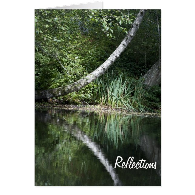 See-Reflexion (Vorne)