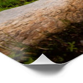 See Solitude Poster (Ecke)