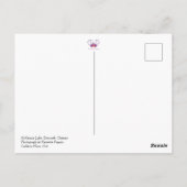 See - Sommer - Reise - Ontario - Canada Postkarte (Rückseite)