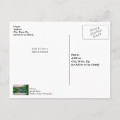 See Springfield Abendliche Ruhe Danke Postkarte (Rückseite)