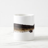 See-Stör - Acipenser fulvescens Kaffeetasse (Mittel)