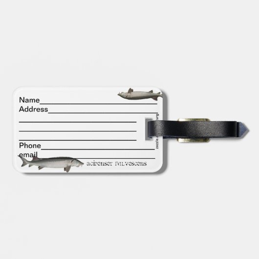 See-Stör-Gepäckanhänger Gepäckanhänger (Rückseite horizontal)