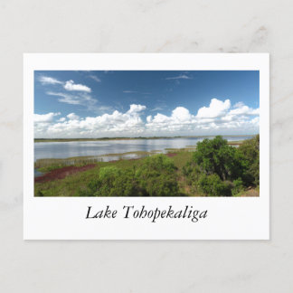 See Tohopekaliga Florida Postkarte