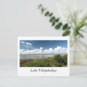 See Tohopekaliga Florida Postkarte (Stehend Vorderseite)