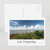 See Tohopekaliga Florida Postkarte (Vorne/Hinten)