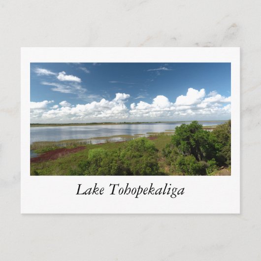 See Tohopekaliga Florida Postkarte (Vorderseite)