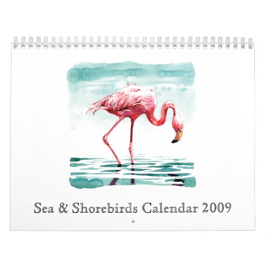 See-u. Shorebirds-Kalender 2009 Kalender (Titelbild)