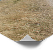 See von Galiläa, Lass nicht, dass dein Herz beunru Poster (Ecke)