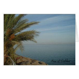 See von Galilee Card