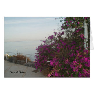 See von Galilee Card