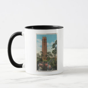 See Wales, FL - Ansicht des Gesangs Tasse