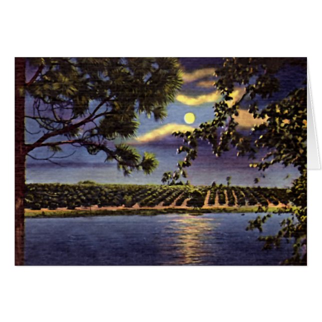 See Wales, Florida (Vorderseite (Horizontal))