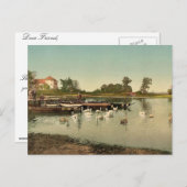 See Worlitz, Eichenkranz und Gondelplatz, Anha Postkarte (Vorne/Hinten)