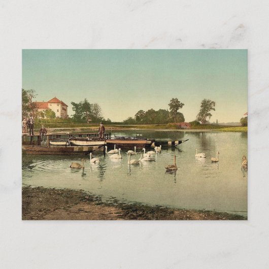 See Worlitz, Eichenkranz und Gondelplatz, Anha Postkarte (Vorderseite)