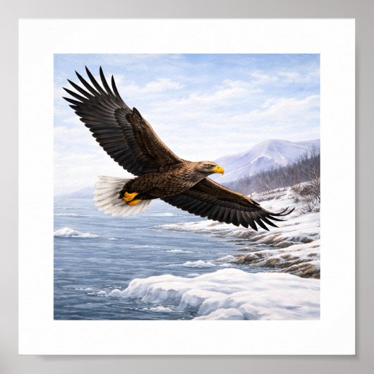 Seeadler (Haliaeetus albicilla) – Poster (Vorne)