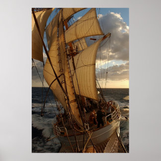 Seeadler Poster