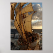 Seeadler Poster (Vorne)