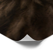 Seeadler Poster (Ecke)