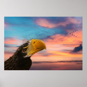 Seeadler Poster