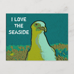 Seeadler Postkarte