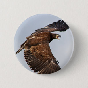 Seeadler schreit Füttere mich bei einem Erwachsene Button