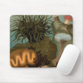 Seeanemone aus dem 19. Jahrhundert Mousepad (Mit Mouse)