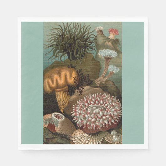 Seeanemone aus dem 19. Jahrhundert Serviette (Vorderseite)