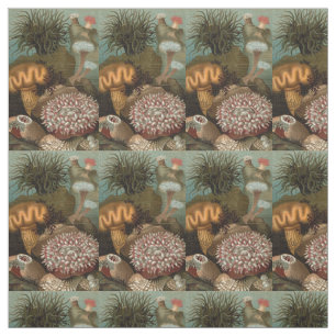Seeanemone aus dem 19. Jahrhundert Stoff