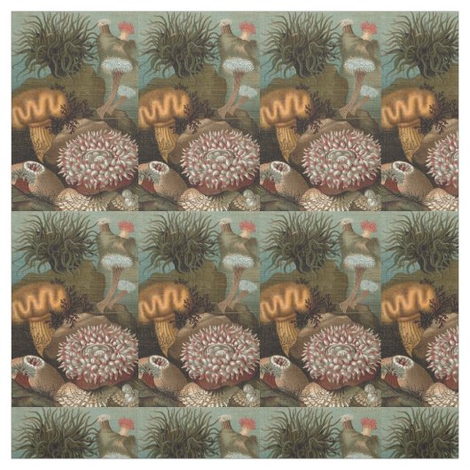 Seeanemone aus dem 19. Jahrhundert Stoff (Muster)