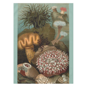 Seeanemone aus dem 19. Jahrhundert Tischdecke