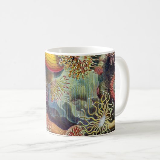 Seeanemone Ernst Haeckels Actiniaea Kaffeetasse (VorderseiteRechts)