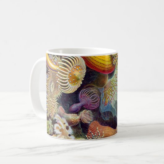 Seeanemone Ernst Haeckels Actiniaea Kaffeetasse (Vorderseite Links)