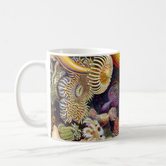Seeanemone Ernst Haeckels Actiniaea Kaffeetasse (Links)