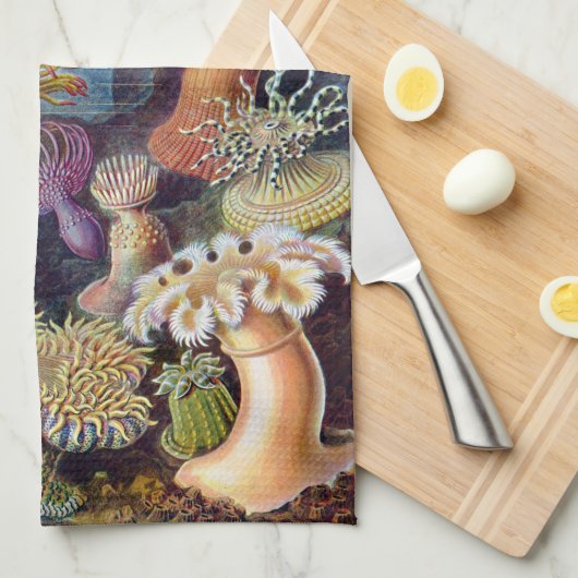 Seeanemone Ernst Haeckels Actiniaea Küchentuch (Viertel Falte)